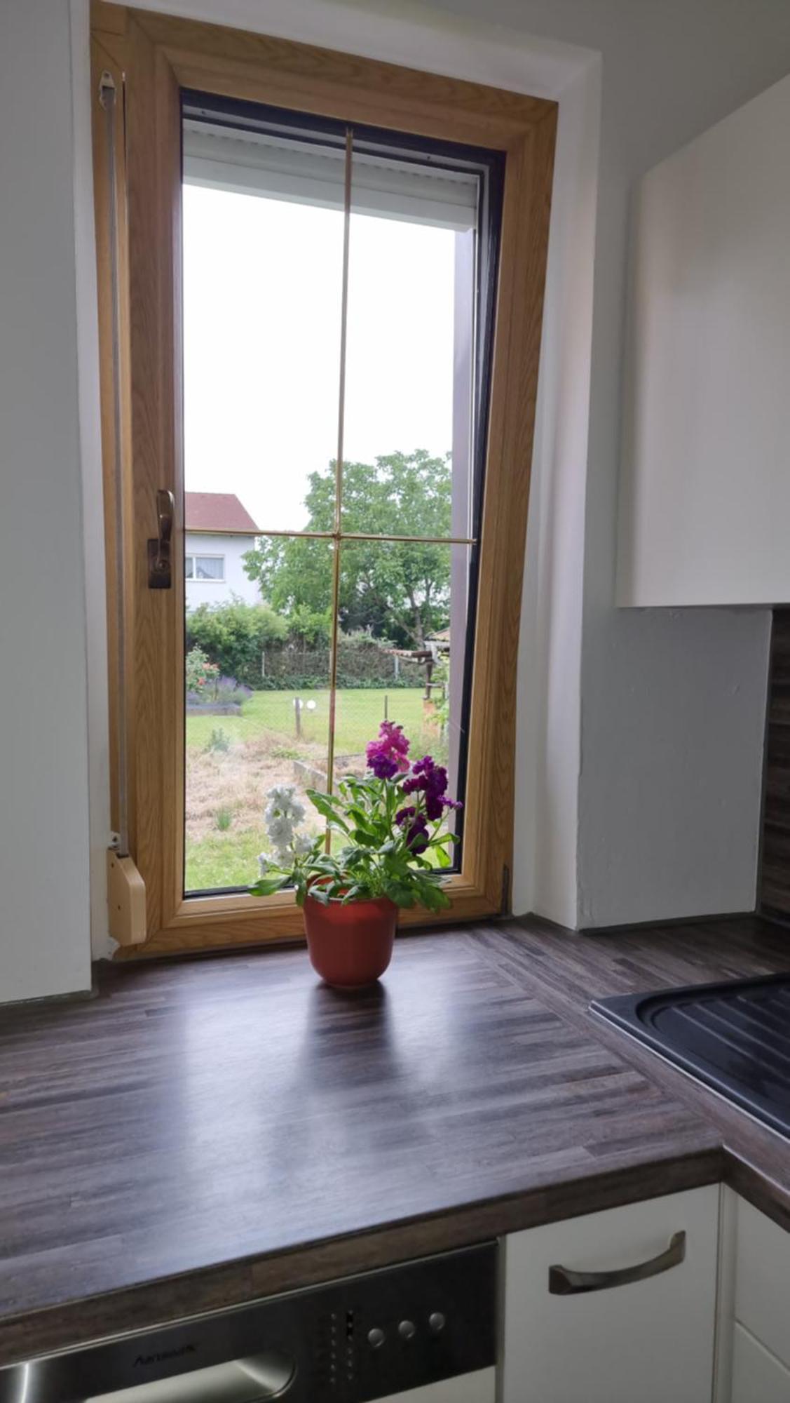 3- Zimmer-Wohnung In Linz Leonding Buitenkant foto